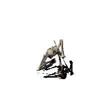 bone attack.gif (63940 bytes)