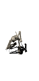 bone_attack2.gif (60700 bytes)