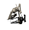 bone_death.gif (75775 bytes)