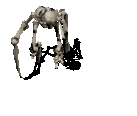 bone_idle2.gif (112779 bytes)
