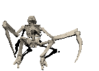 bone_up.gif (80206 bytes)
