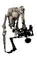 bone_walk.gif (75030 bytes)